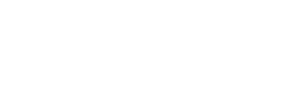 Dynamic Agency OS