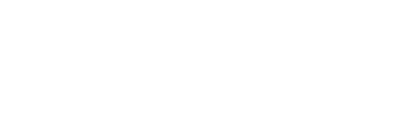 Dynamic Agency OS